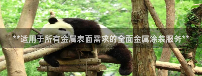 美狮美高梅酒店名字由来