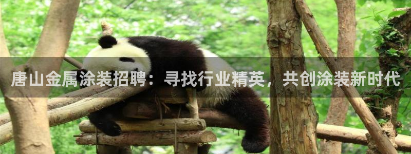 美高梅是何超琼开的吗知乎