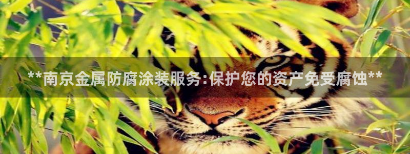 美高梅酒店匹配凯悦