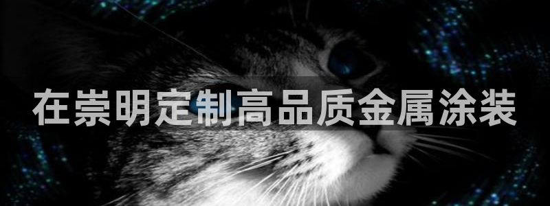 美高梅度假酒店会员卡