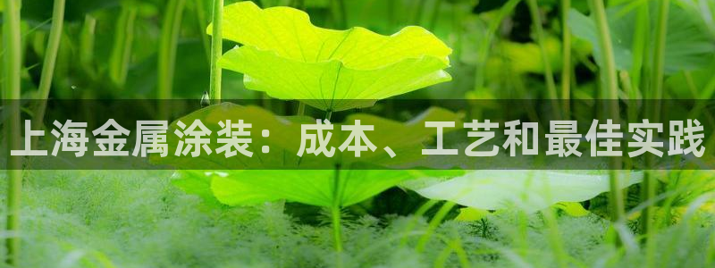 美高梅网络平台游戏靠谱吗