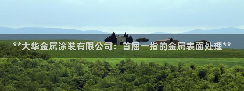 美高梅酒店老板