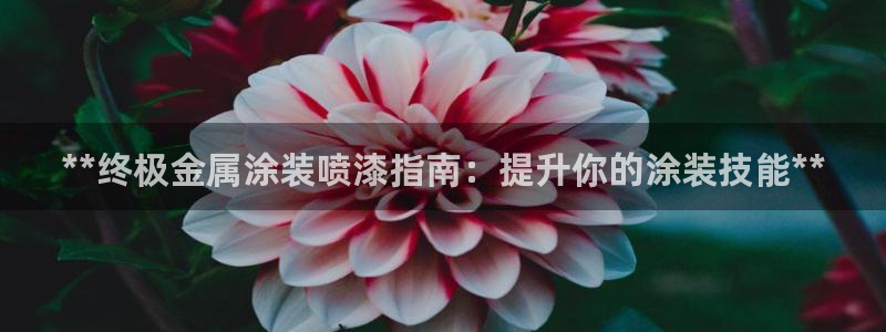 美高梅现金券怎么使用