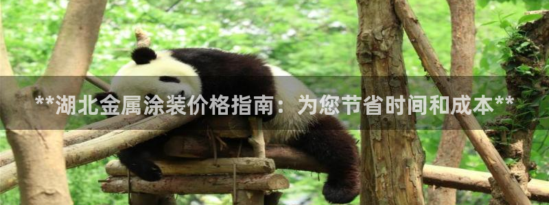 美高梅酒店年卡多少钱
