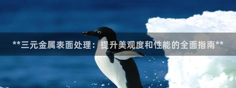 美狮美高梅酒店二楼是干嘛的