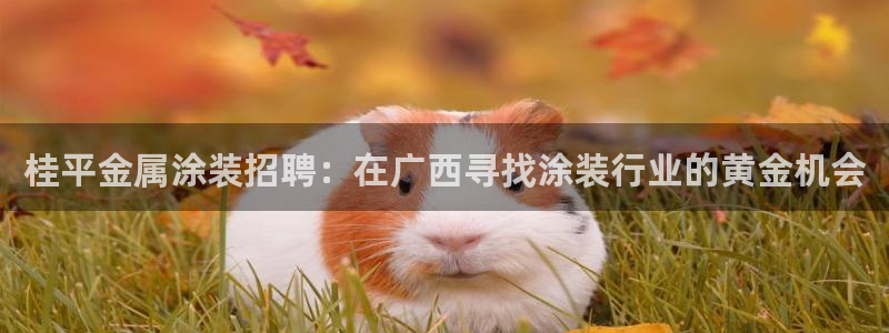 美狮美高梅酒店挂图