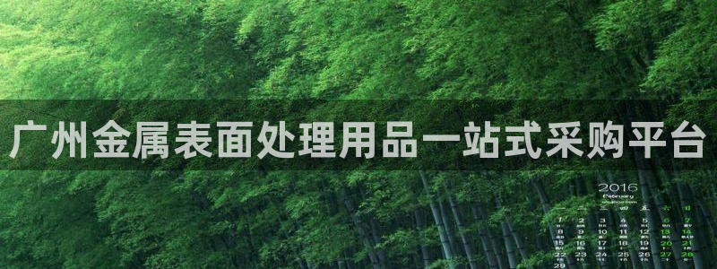 美高梅登录不上去了