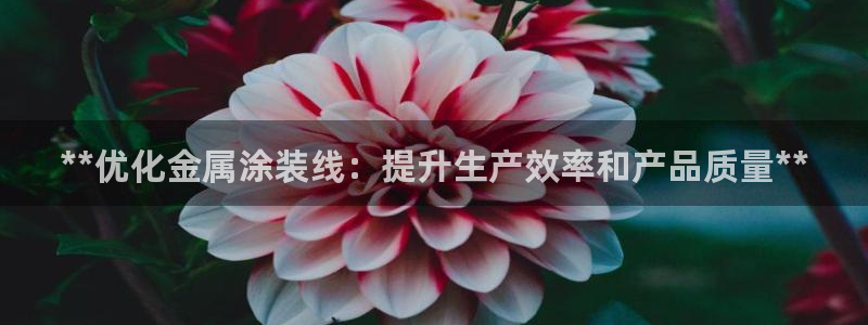 美高梅被收购