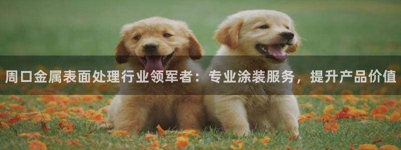 美高梅酒店老板是谁