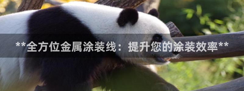 美高梅是谁的股东