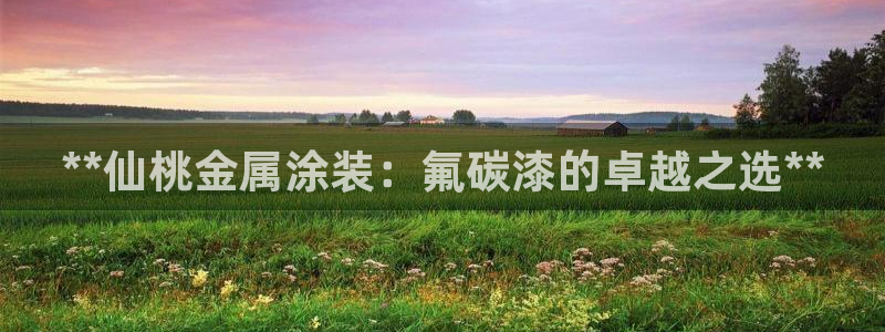 美高梅大酒店招聘信息最新