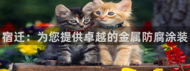 为什么我的美高梅网页上不了