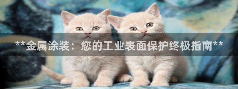 美高梅的老板