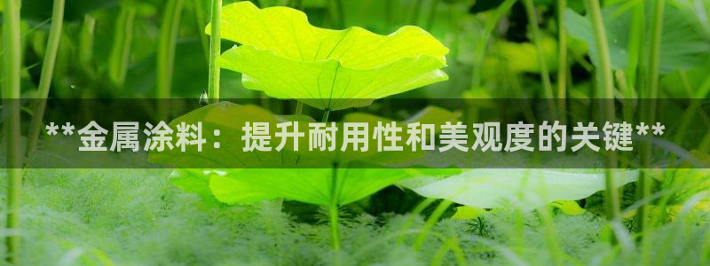 美高梅会员卡积分是怎么算的