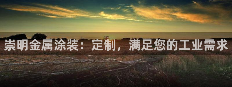 美狮美高梅酒店离哪个口岸近