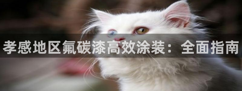 美高梅的狮子值多少钱