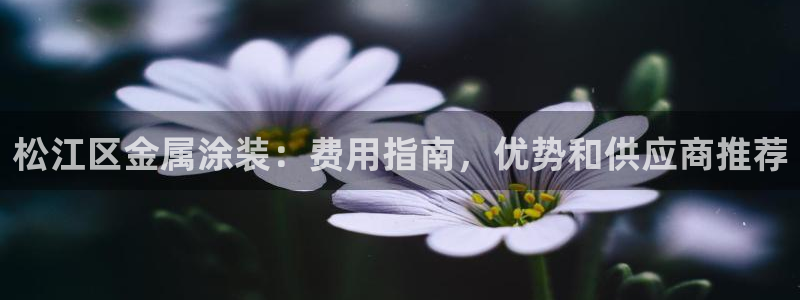 美高梅客服联系方法是什么