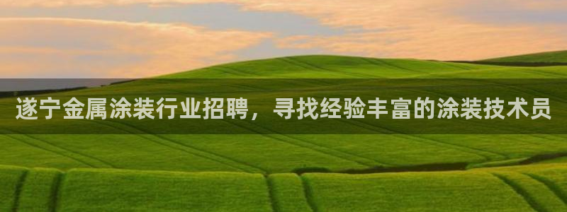 美高梅酒店拖鞋