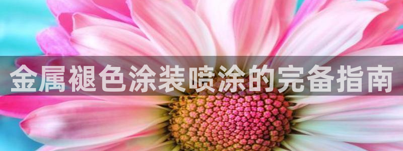 美高梅大酒店何超琼