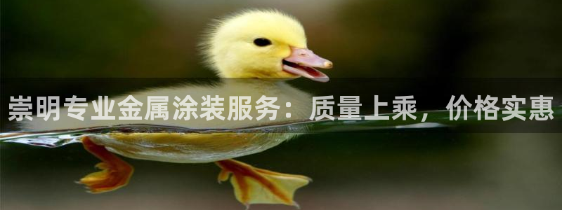 美高梅会员卡多少积分才能有狮王卡