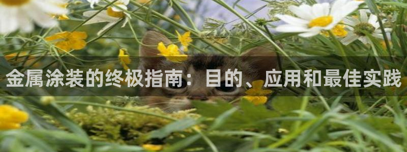 美高梅一千万筹码