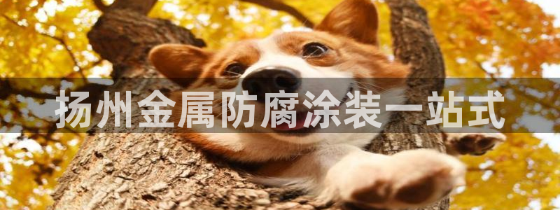 美高梅酒店香水啥牌子