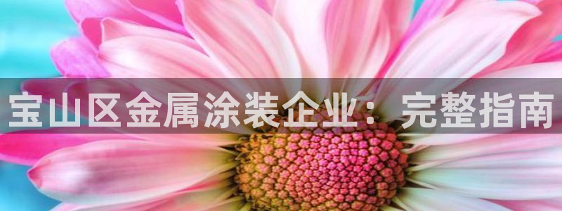 美高梅公司在中国上市