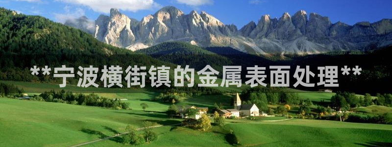 美狮美高梅酒店黑卡400餐卷