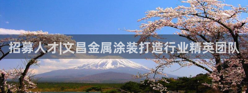 美高梅中国股票2282