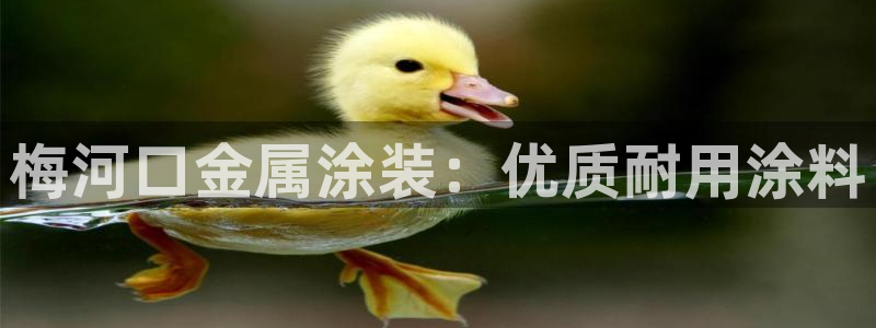 美狮美高梅酒店是谁的