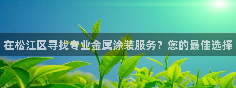 美高梅控股有限公司是国企吗