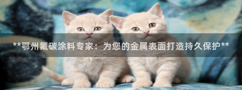 美高梅儿童托管怎么样知乎