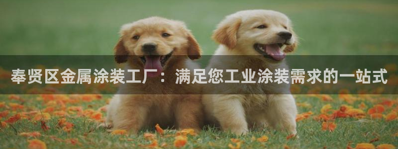 美高梅股票代码09128