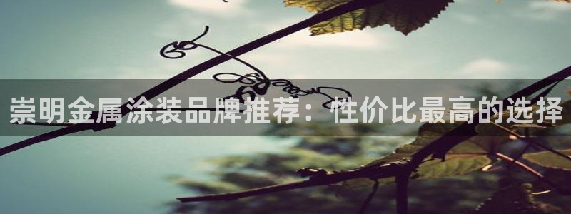 美高梅是何超琼开的吗知乎