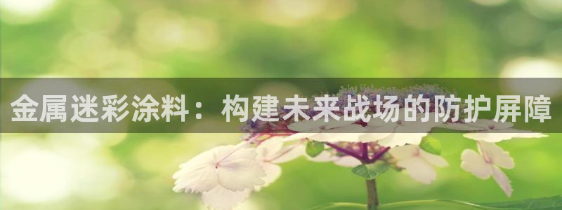美高梅酒店品牌系列
