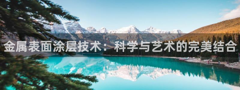 美高梅最大筹码