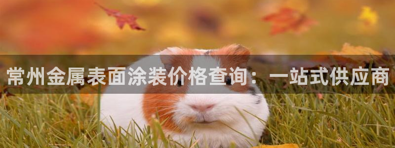 美高梅酒店集团简介