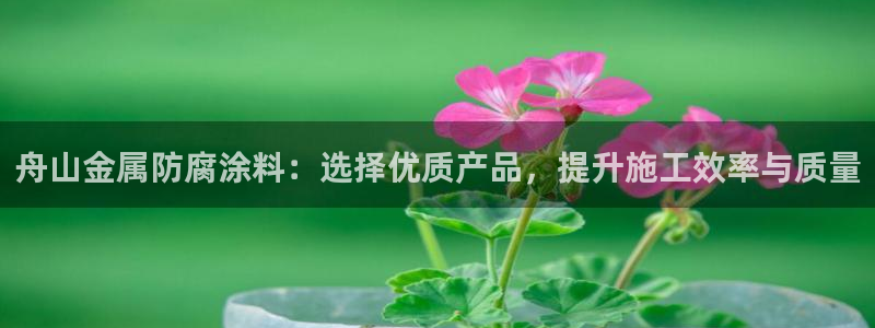 美高梅老板何超琼