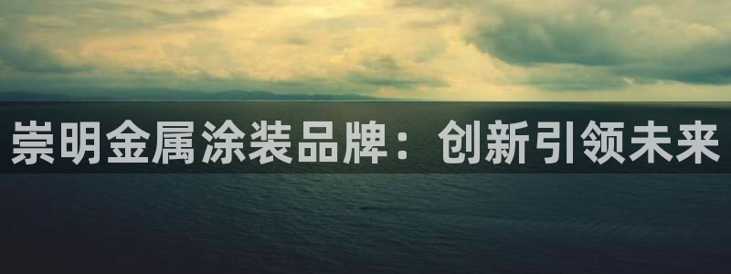 美高梅国际俱乐部是做什么的：崇明金属涂装