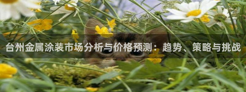 美高梅里面有什么