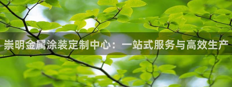 澳门新开美高梅的酒店