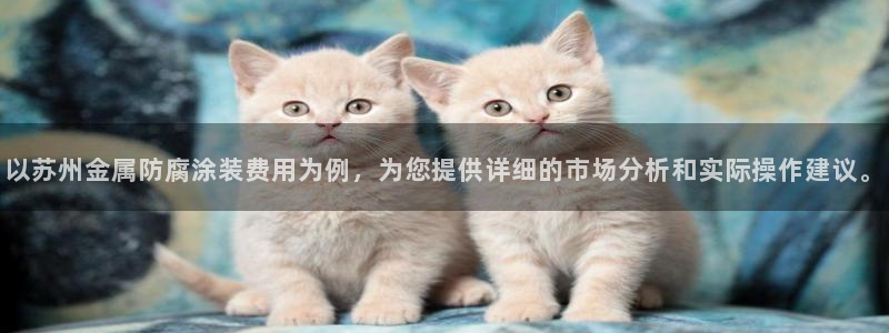 美高梅集团公司
