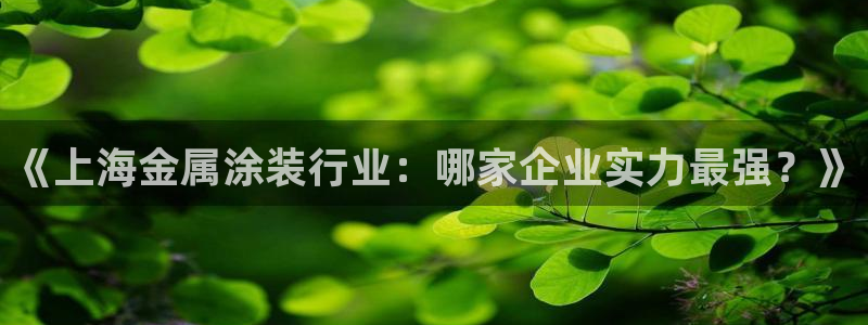美高梅酒店的星级介绍