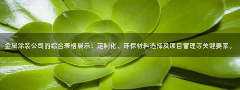 美高梅卡颜色等级：金属涂装公司的综合表格
