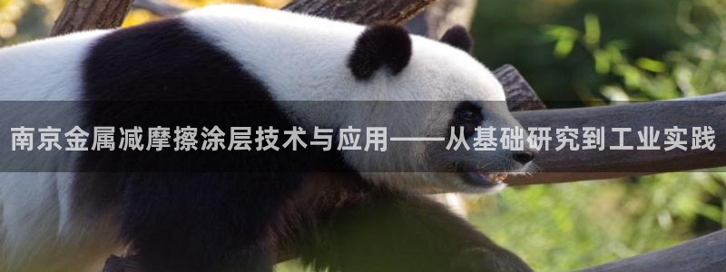 美高梅游戏攻略
