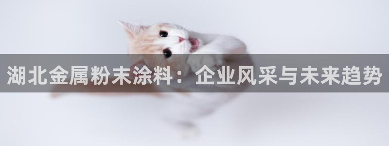 美狮美高梅酒店谢霆锋