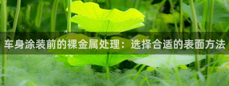美高梅是谁的资产