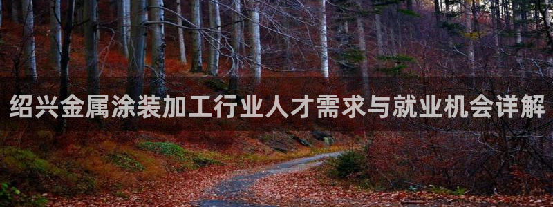 美高梅卡是什么