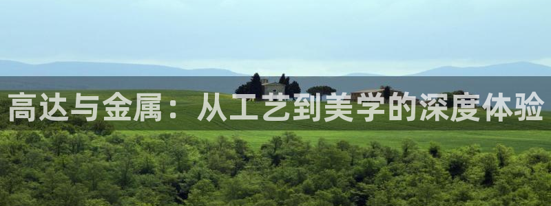 美高梅酒店入住时间