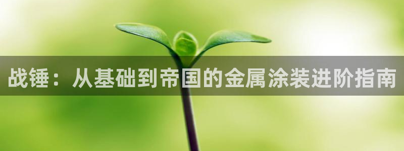 美高梅酒店和丽思卡尔顿哪个好